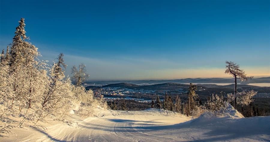 Фото жизнь