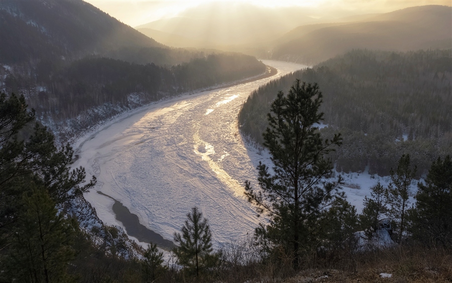 Фото жизнь