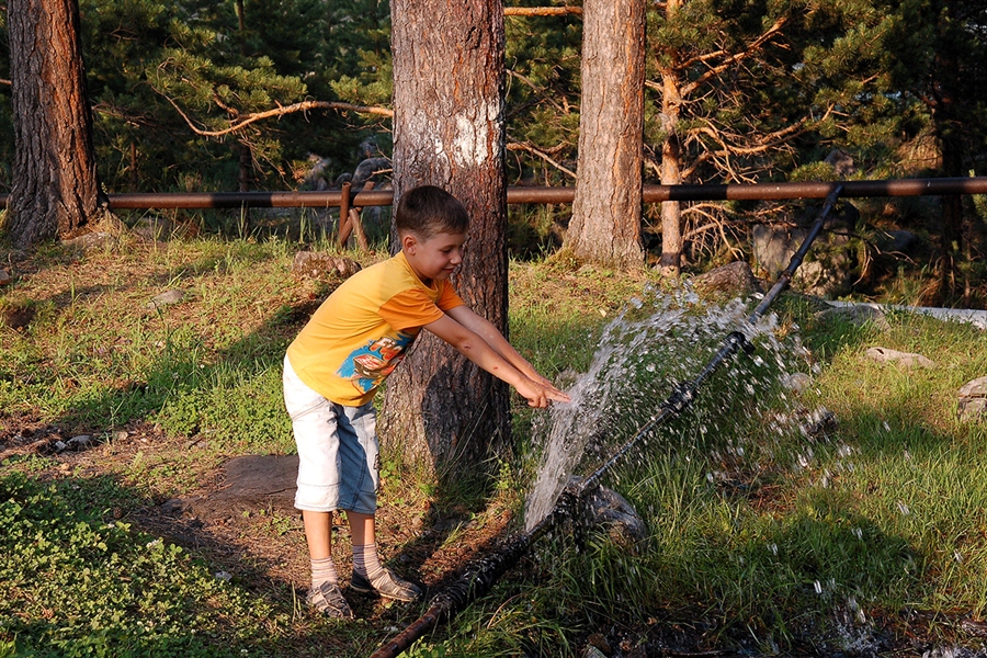 Фото жизнь