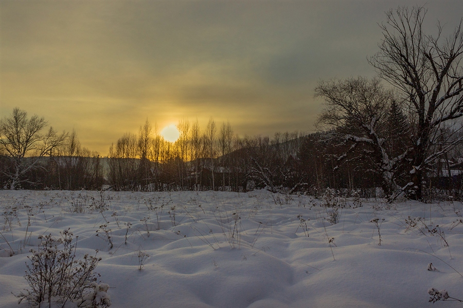 Фото жизнь