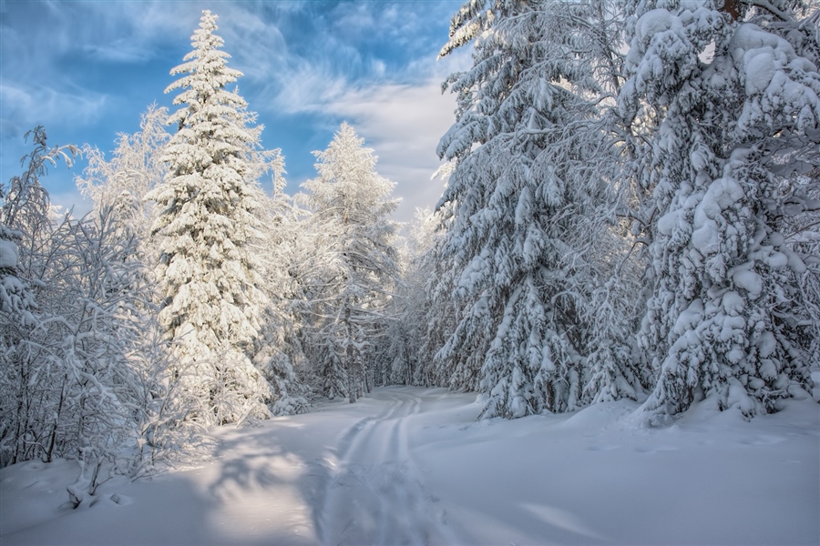 Фото жизнь