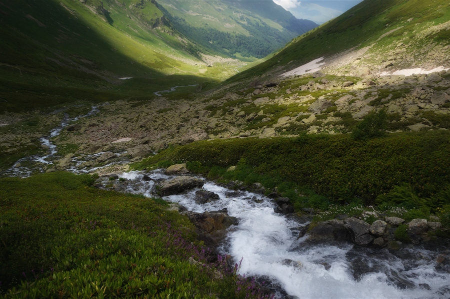 Фото жизнь