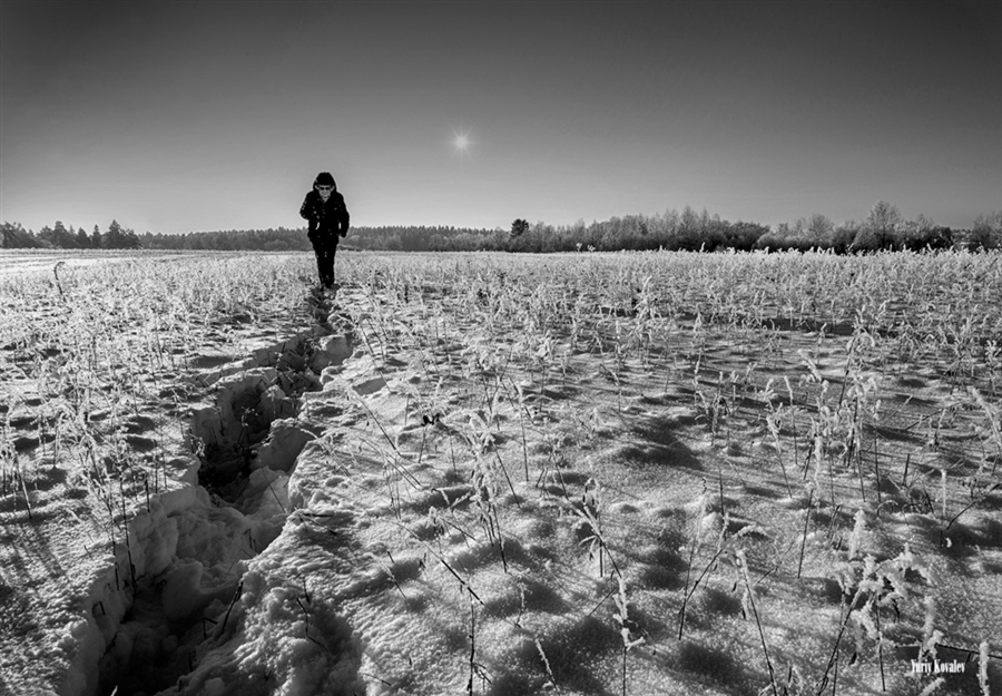 Фото жизнь