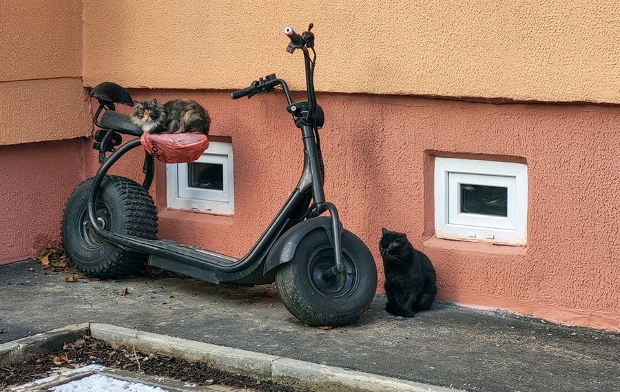Фото жизнь