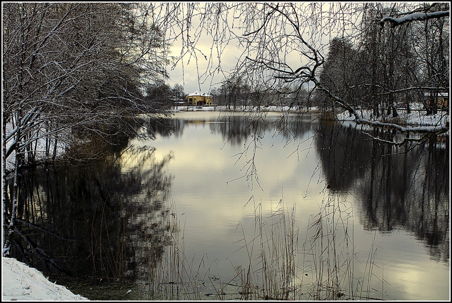 Фото жизнь