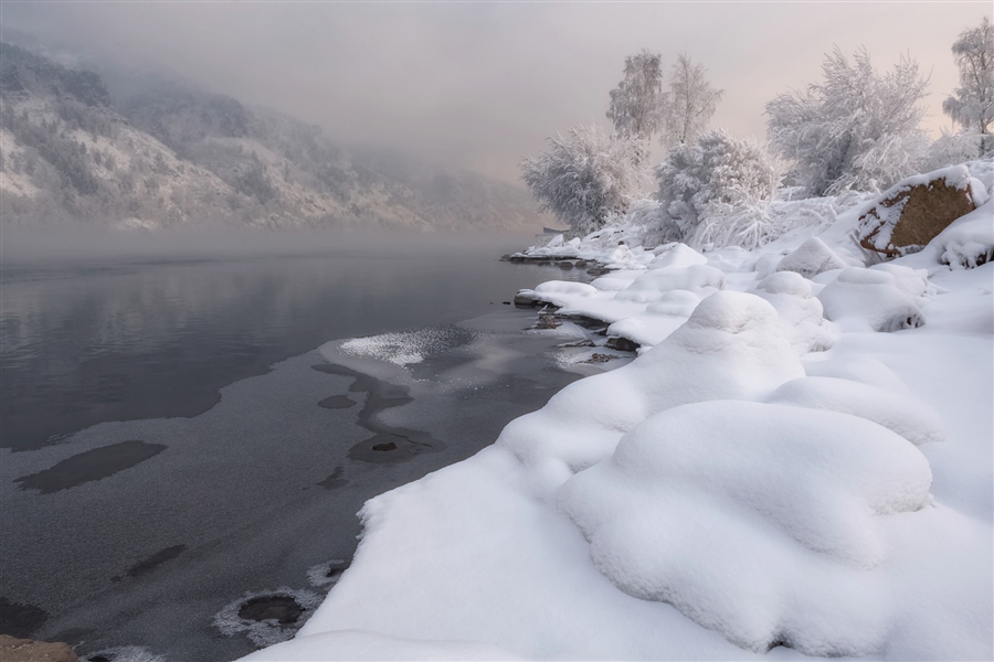 Фото жизнь
