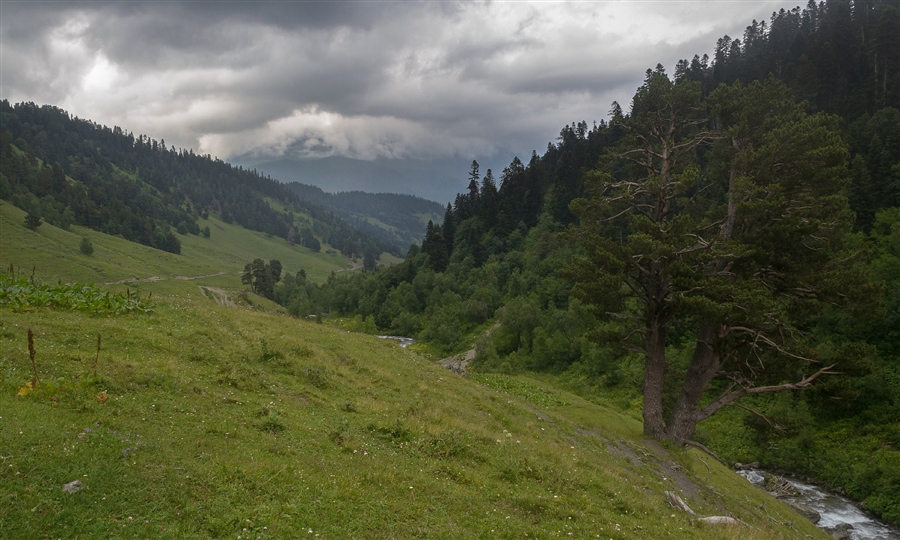 Фото жизнь