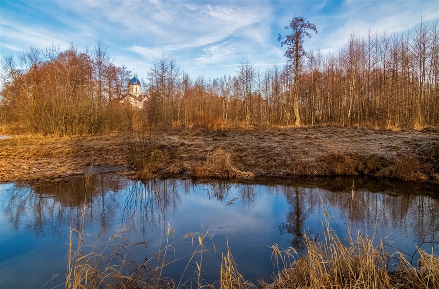 Фото жизнь