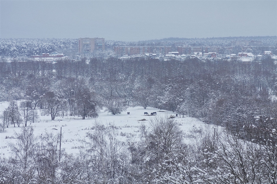 Фото жизнь