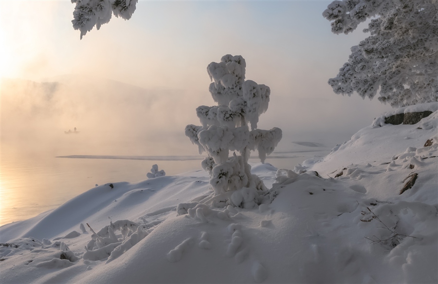 Фото жизнь