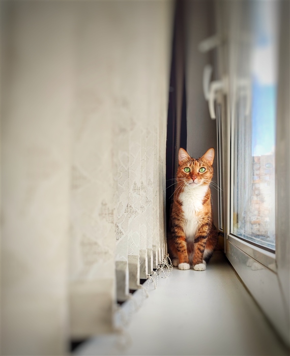 Фото жизнь