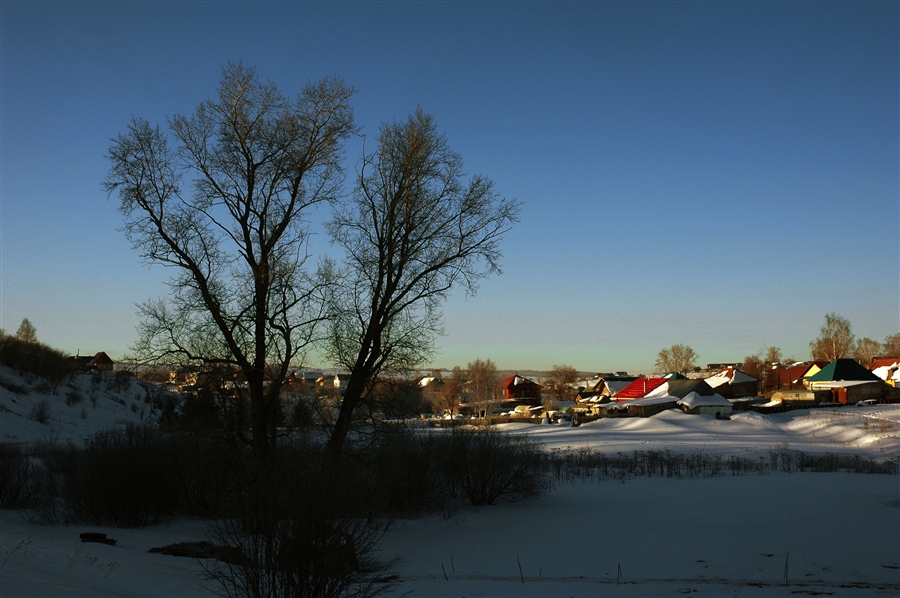 Фото жизнь