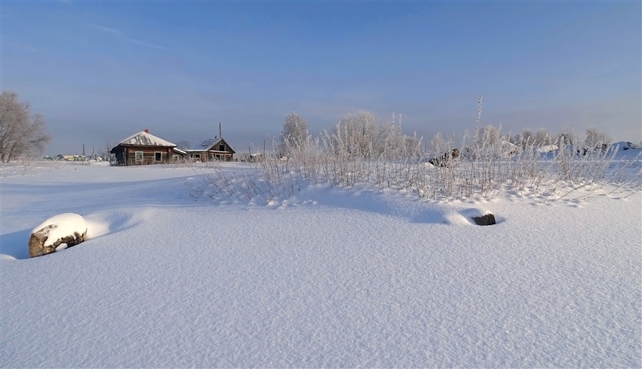 Фото жизнь