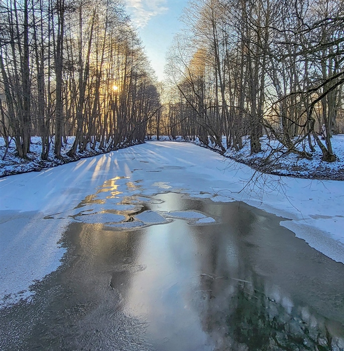 Фото жизнь