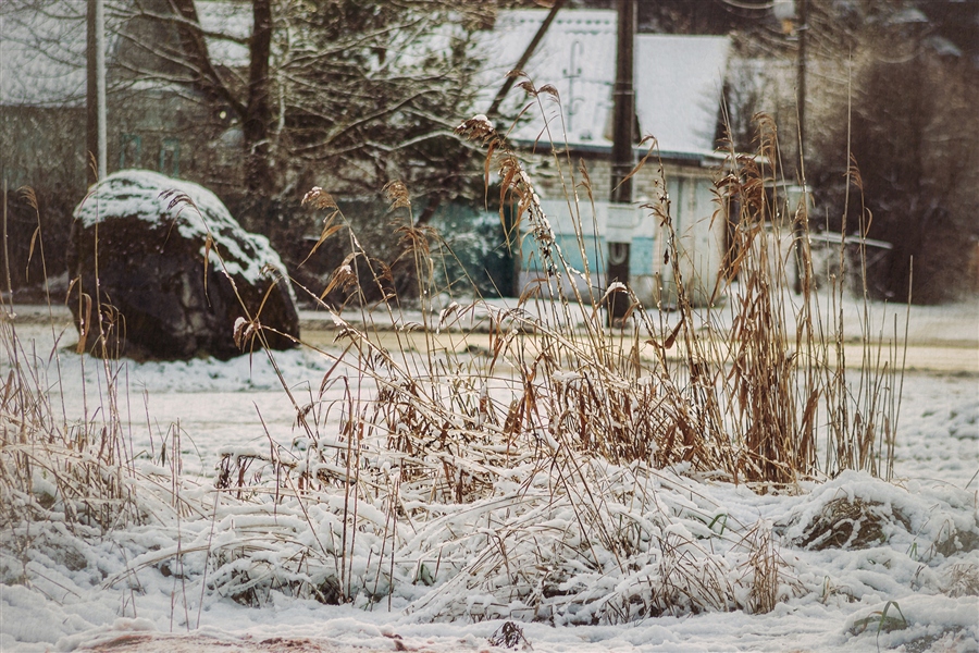 Фото жизнь