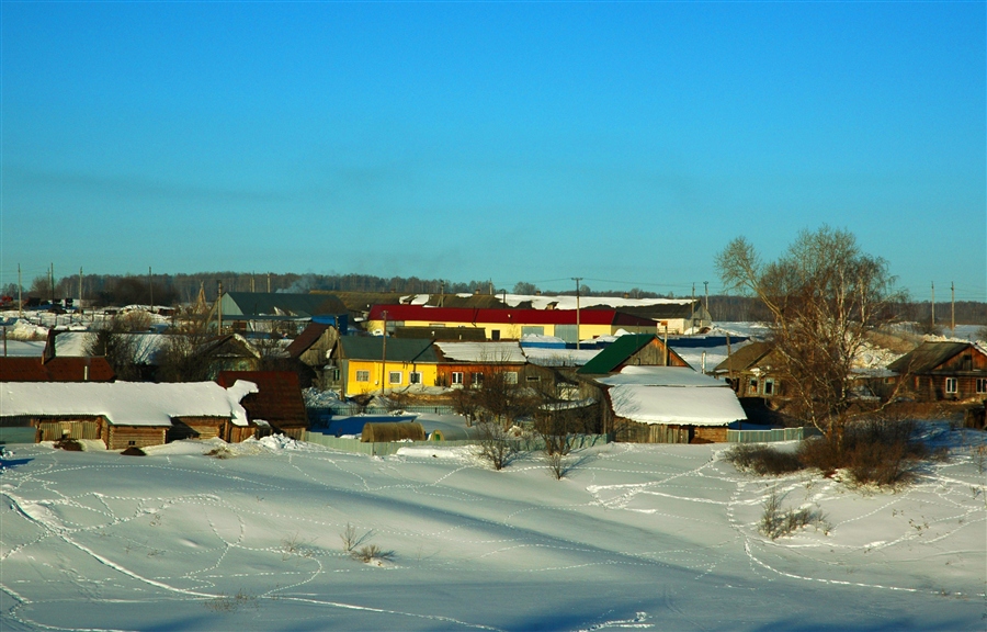 Фото жизнь