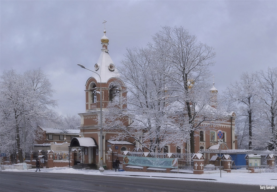 Фото жизнь