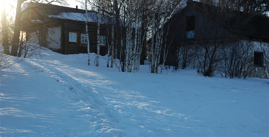 Фото жизнь