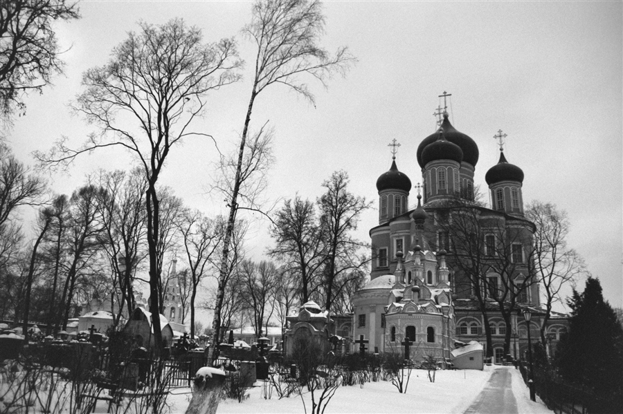 Фото жизнь
