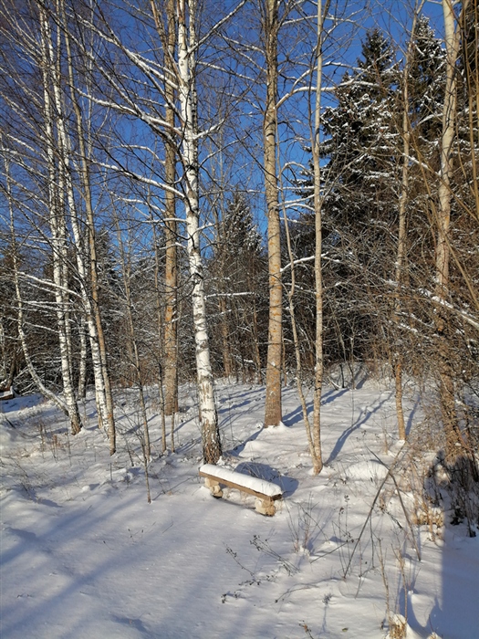 Фото жизнь