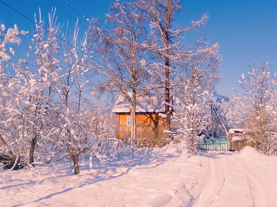 Фото жизнь