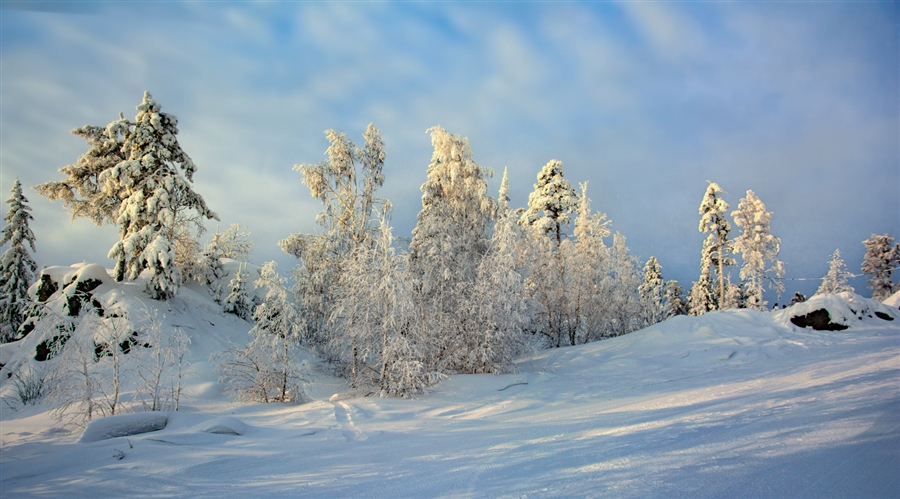 Фото жизнь