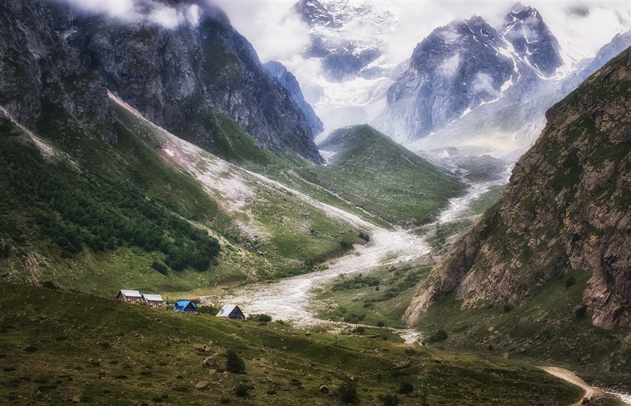 Фото жизнь