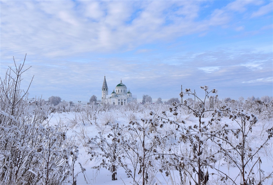 Фото жизнь