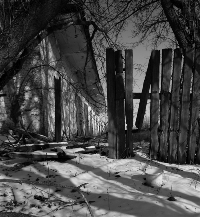 Фото жизнь