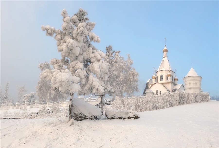 Фото жизнь