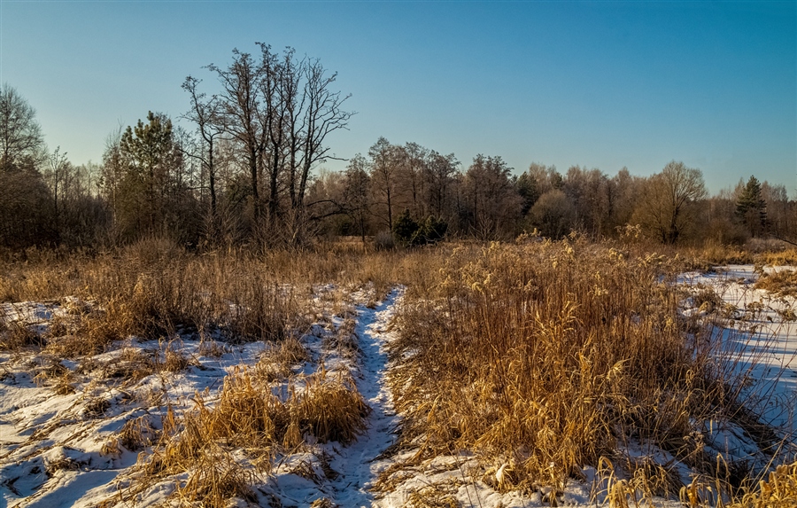Фото жизнь