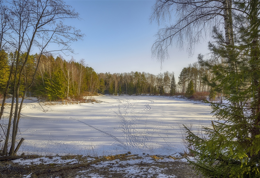 Фото жизнь