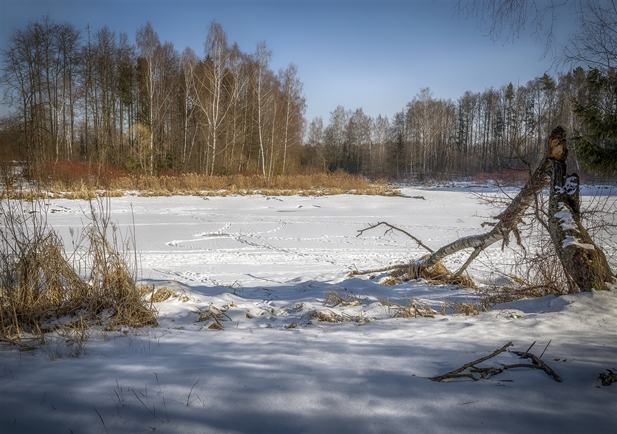 Фото жизнь