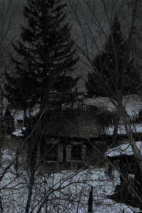 Фото жизнь