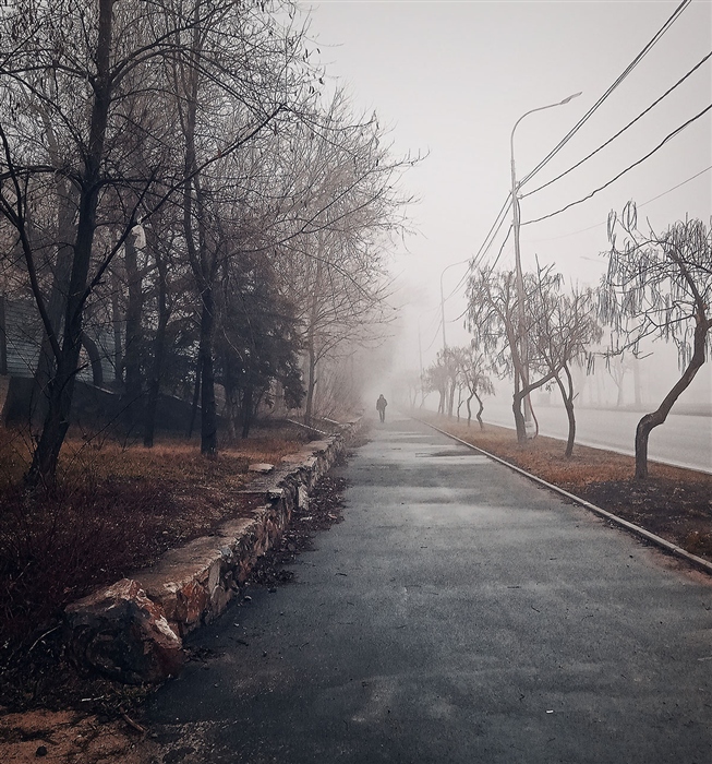 Фото жизнь