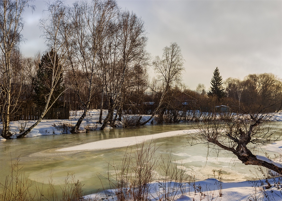 Фото жизнь