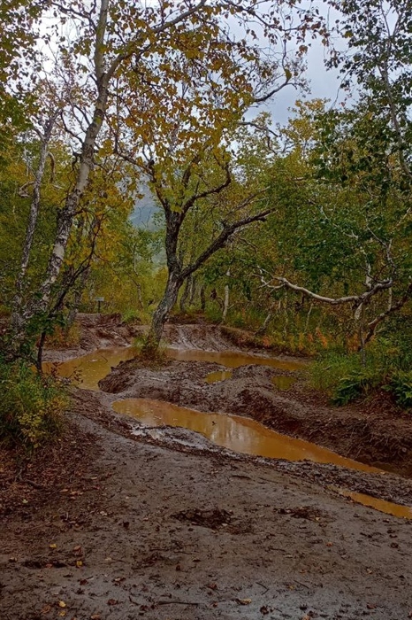 Фото жизнь