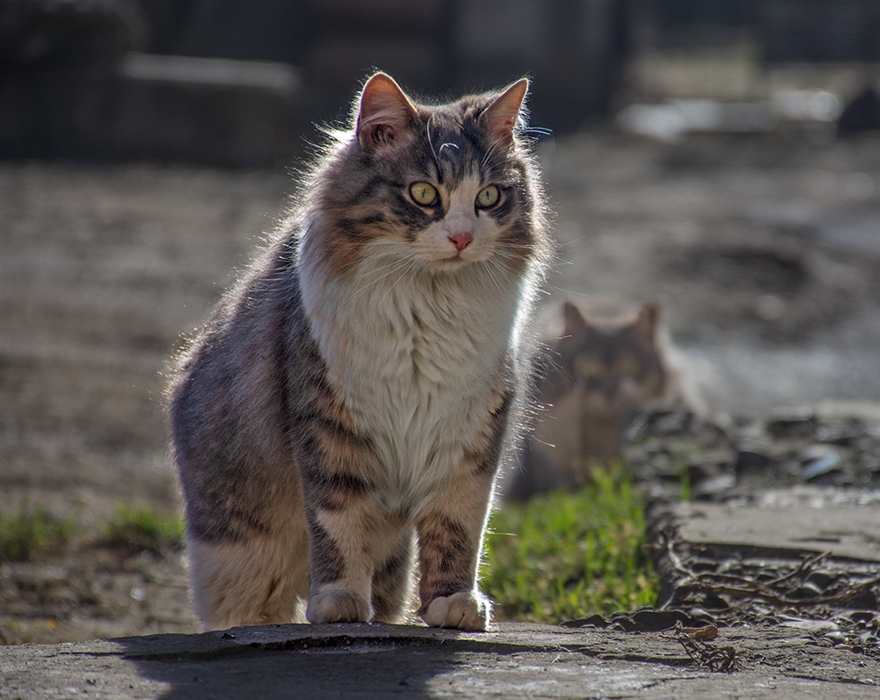 Фото жизнь