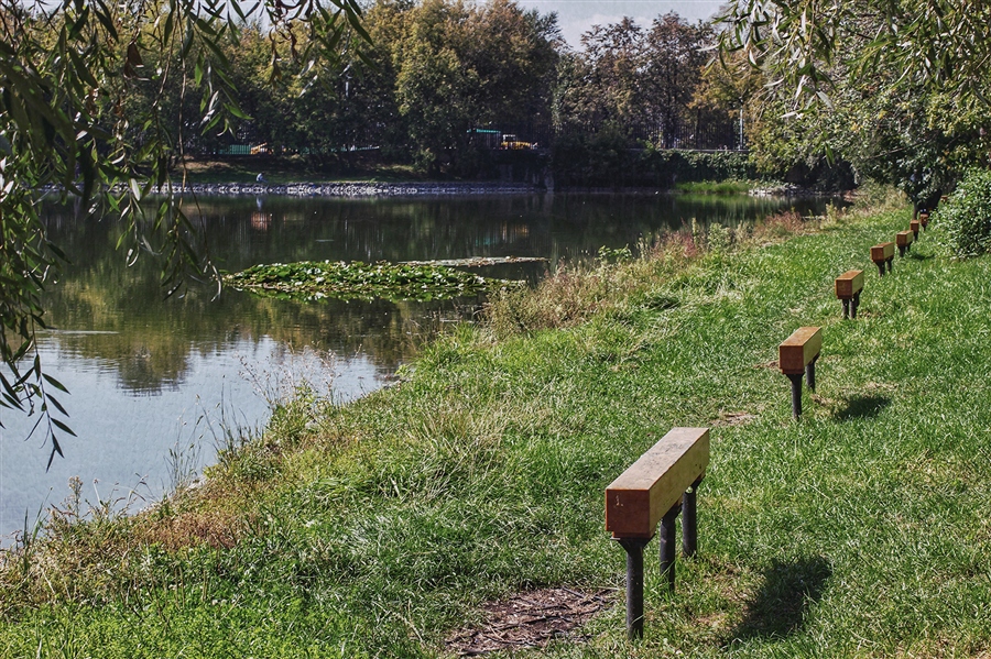 Фото жизнь