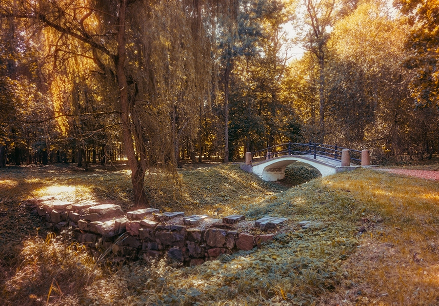 Фото жизнь