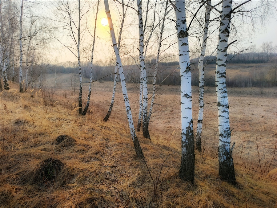 Фото жизнь