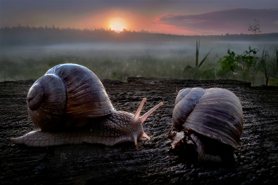 Фото жизнь