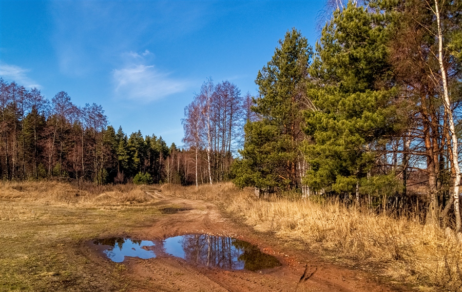Фото жизнь