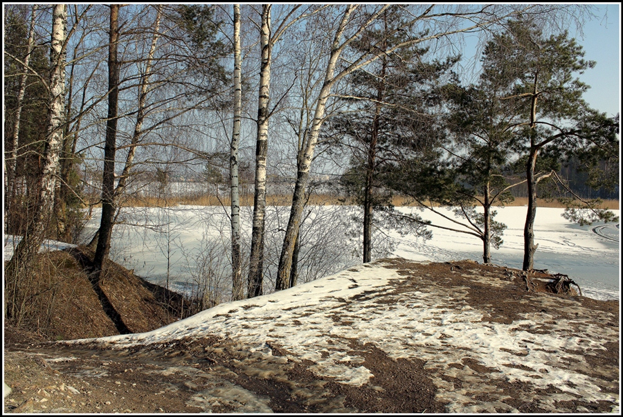 Фото жизнь