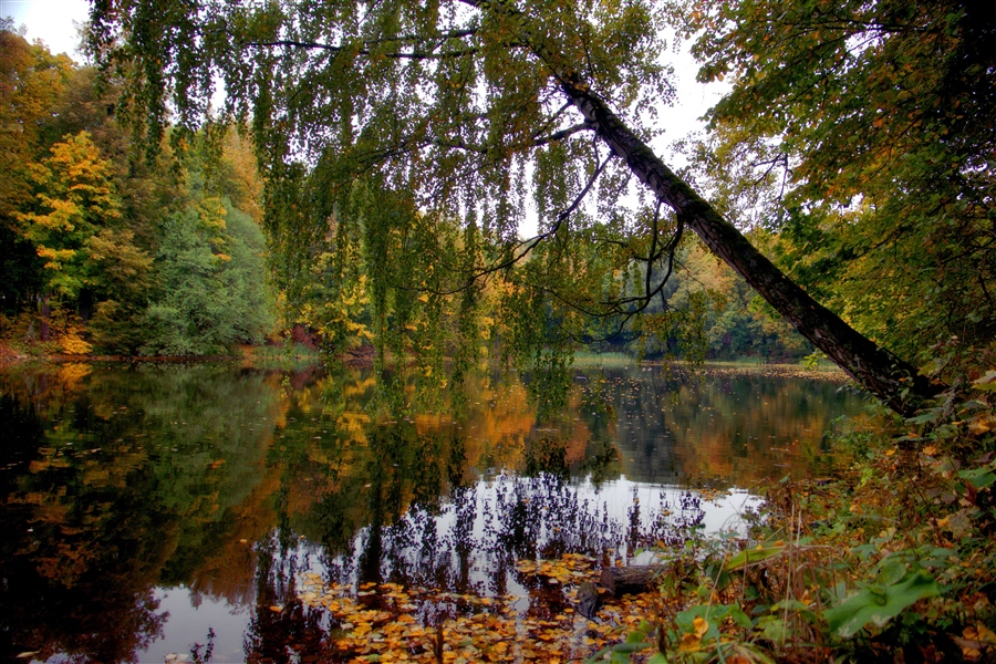 Фото жизнь