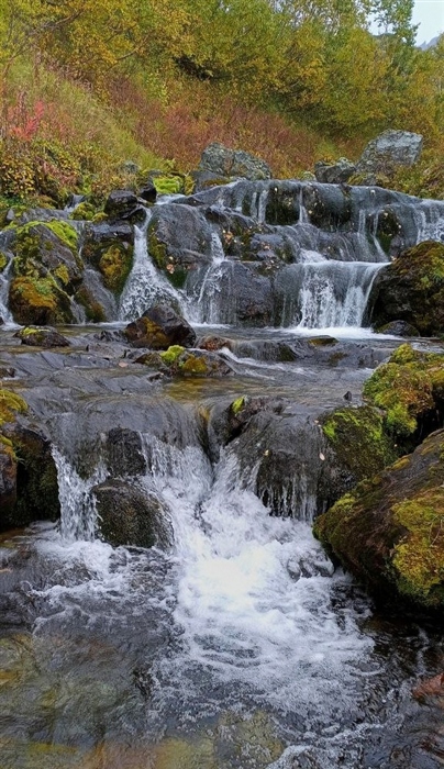 Фото жизнь
