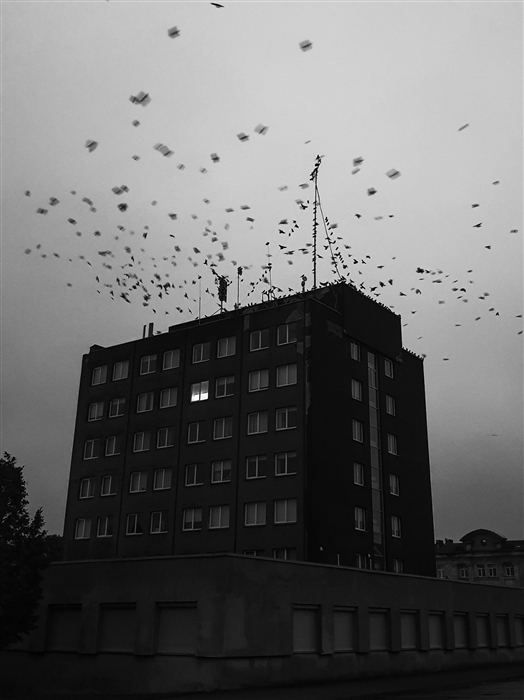 Фото жизнь