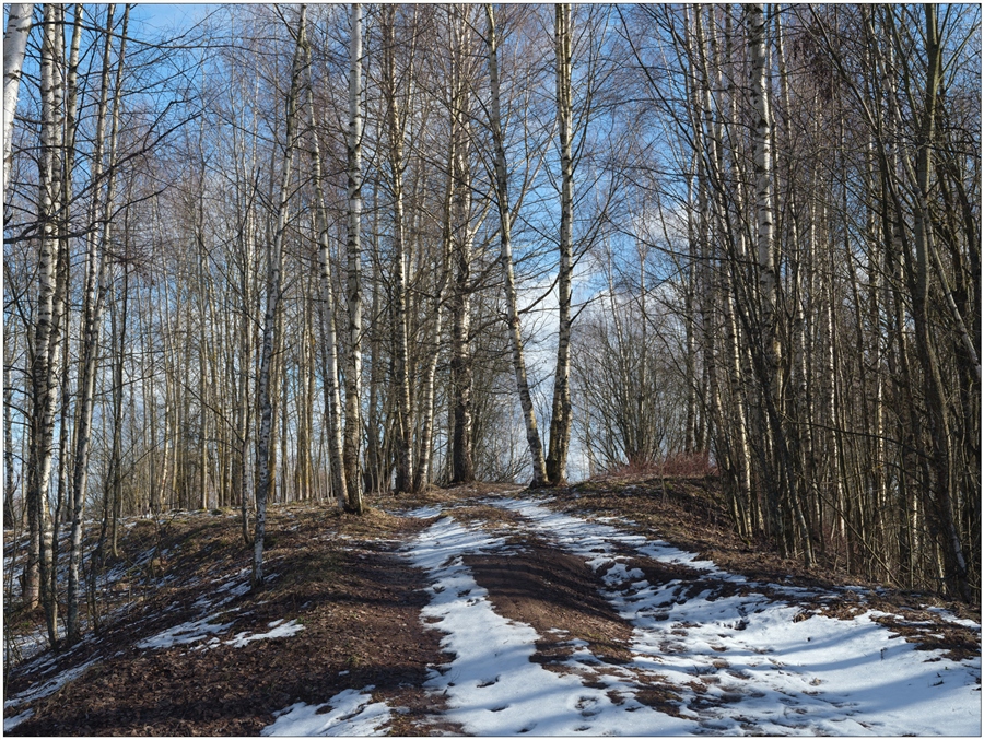 Фото жизнь