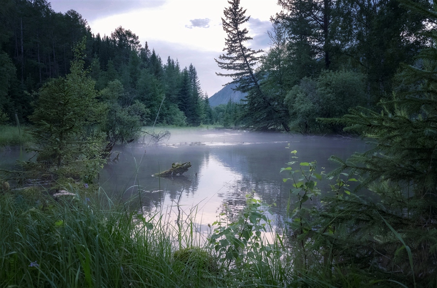 Фото жизнь