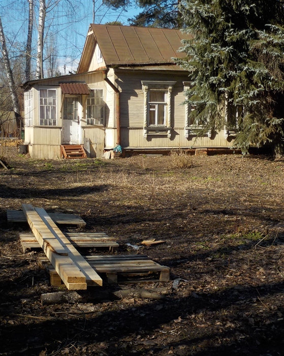 Фото жизнь